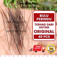 40 PCS Bulu Perindu Asli Original Bergerak Sendiri Jika Berhubung Air & Haba