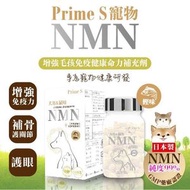 Prime S - 寵物專用NMN抗老逆齡 添加復護眼 強骨關節補充膠囊 (鰹魚味) 可拌貓糧狗糧喂食 60粒 添加葡萄糖胺 葉黃素 毛孩眼睛健康精華 PETS高質寵保健品