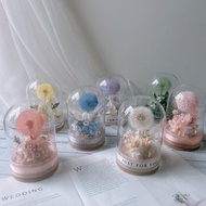 玻璃罩 蒲公英 永生花 生日禮物 閨蜜禮物
