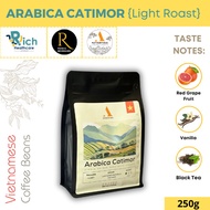 [Coffee Beans] Authentique Speciality Arabica Catimor (Light Roast) (Vietnam Origin) Coffee Beans 25