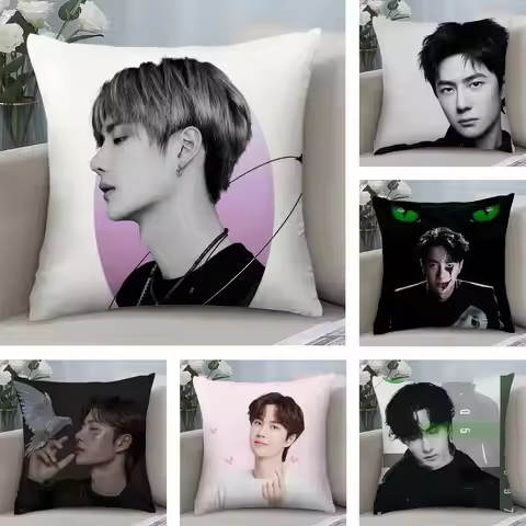 W-Wang Yibo Pillow Case Plush Fabric Soft Double Sided Print Home Sofa High Quality Cushion Cover Th
