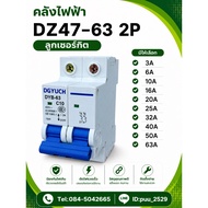 DZ47-63 2P Circuit Breaker