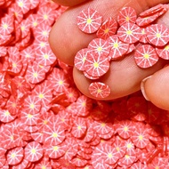 Fonfleurs 50g Fake Salami Pizza Meat Food Fimo Slices Sprinkles Nail Art Slime Fillers Craft Polymer