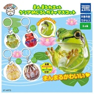 [BTF] Ready Stock Japan T-ARTS Capsule Toy Domeka Round Frog Three-Dimensional Pendant Toy N5D2