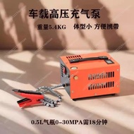 ( 12V / 110V / 220V )  300W Air Compressor 220v Pump Air Rifle Car Pump 12 V Compressor 300bar Subme