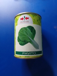 Pavito (100 grams) Pechay Seeds by East West Seed