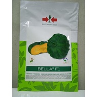 ♞,♘EASTWEST SQUASH BELLA F1 ASENSO PACK BY EAST WEST SEEDS