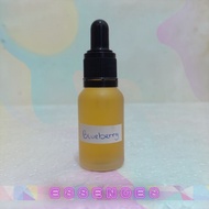 Fruit Essence: Blueberry -30ml