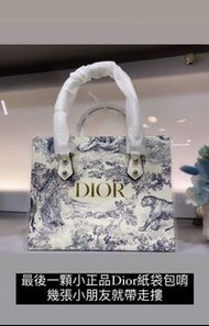 Dior紙袋包 全新現貨