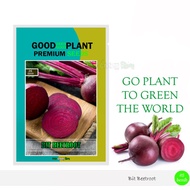 25 biji - Benih Bibit Buah Beetroot Bit Ungu F1 Unggul - OkeGreenShop