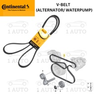 CONTINENTAL GERMANY V-BELT (ALTERNATOR / WATERPUMP) BMW E70 3.0d E71 35dX M57 DIESEL ENGINE