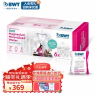 BWT 4th Generation Water Purifier Filter Core Original Zinc And Magnesium Maternity Version for Lapt