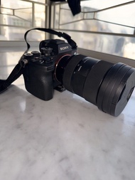 Sony A74 A7 IV Camera with Sigma 24-70mm F2.8 DG DN Art for Sony E-Mount & Kenko Mist Fliter