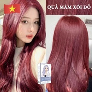 Red raspberry hair dye Your hair dye instantly,Send a full hair dye kit