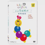 小小愛因斯坦 DVD