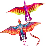 New Outdoor Fun Sports 63Inch Power Single Line  Dragon Kite For Beginner With Handle And String  Go