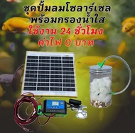อ่างเลี้ยงปลา 65 ลิตร ระบบoverflow ขนาด 64x44x31ซ. กะบะเลี้ยงปลา อ่างเลี้ยงปลา อ่างเลี้ยงปลาเมกาดะ อ