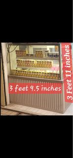 展示凍櫃 display freezer