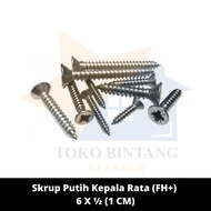 White Flat Head Screws (fh+) 6 X 1⁄2 (1 CM) (box @2000pcs)