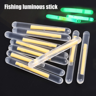 EVA Luminous Fishing Night Float Light Stick Foam Plastic Bobber Sea Rock Fishing Night fishing outd