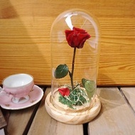 《預購》美女與野獸系列-玻璃罩永生玫瑰花