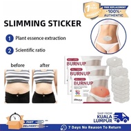 South Moon BELLY WING BURNUP Slimming Sticker Plant Essence Abdomen Treatment Patch