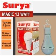 9-18 WATT SOLAR AC DC LAMP
