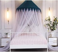 Bed Canopy Semi-Circular Pointed Ceiling Bed Curtain mosquito net, Wall-Mounted Princess Mosquito Net Bed Canopy for Single To King Size Beds Hammocks Cribs-E (Color : C)