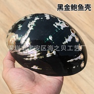 Black Gold Abalone Shell Fish Tank Landscaping Decoration Shooting Props Natural Conch Shells Home C