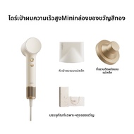 Laifen | ไดร์เป่าผมขนาดเล็กความเร็วสูง ของขวัญ