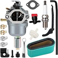 799727 Carburetor for BS 287707 791886 28N707 698620 495935 28N707 28Q777 794572 690194 28N777 49806