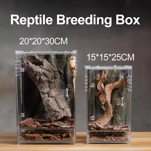Reptile Breeding Box Transparent Terrarium Habitat Insect Spider Lizard Scorpion Feeding Cage Arbore