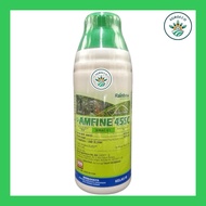 1Liter AMFINE 45SC (Same With Amepax Farmspect Ametrex Symbol) Racun Susu Sambau Ametryn