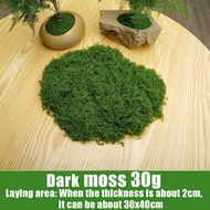 30g rumput sintetis aquascape Aquarium | TAwetan Tahan Lama rumput sintetis aquascape jadi