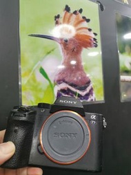 sony A7 SII A7S M2 A7SM II 益街坊