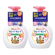 日本 LION 獅王 - 趣淨抗菌洗手慕斯組合 2罐果香(250mlx2)