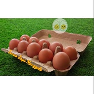 Paper egg box 10 holes egg tray/ Paper egg box