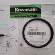 NINJA 250 FI OLD FUEL PUMP SEALOring Original 670E5075