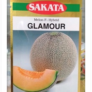 Benih F1 Rock Melon🍈Glamour(Sakata)💯ORIGINAL