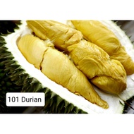 101 fresh durian atau 101 durian segar