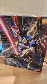 MG DESTINY GUNDAM