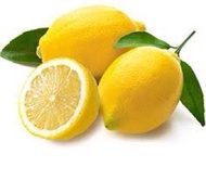 benih/bibit/biji buah jeruk lemon Cui