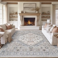 Living Room Carpet Room Decoration Waterproof Carpet Imitation Cashmere Bedroom Bedside Carpet Machi