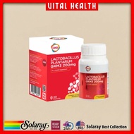 （New）GKB Lactobacillus Plantarum GKM3 200MG  Probiotic