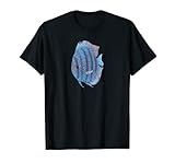 Discus Fish Keeper Symphysodon Aquarium Aquarist