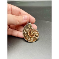 1 Natural Ammonite Fossil Silver Pendant/Unique Design/Beautiful Necklace Jewelry With 18inch chain.