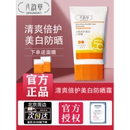sunscreen tinted sunscreen Eight Rhymes Sunscreen Cream Lotion Men Women Refreshing Double Care Mois