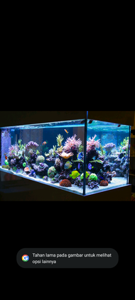 AIR LAUT 1 LITER || asli dari laut cocok untuk isi ulang aquarium