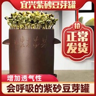 Purple Clay Household Bean Sprout Maker Bean Sprout Jar Bean Sprout Artifact Bean Sprout Vegetable P