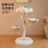 天然果木貓爬架｜實木藤編貓窩｜貓樹一體式結構｜佔地小大貓專用｜手工編織工藝｜透氣休息空間（平行進口）